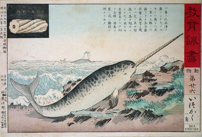 C_hNGNWUQAACmrp.jpg?format=jpg