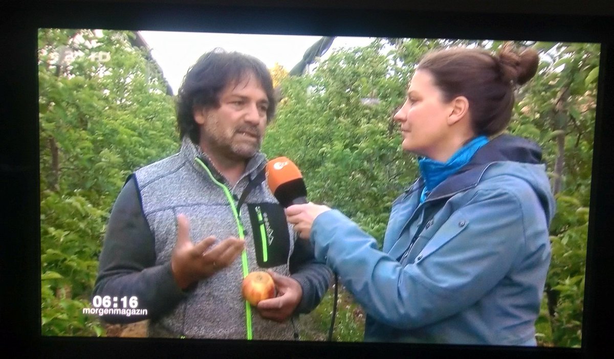 BLHV's tweet photo. Das @ardmoma berichtet live über  #Apfelbauern am Bodensee. Heftige Frostschäden schüren Existenzängste..@lveo_bw  @ZDF https://t.co/J8aWopcwcS