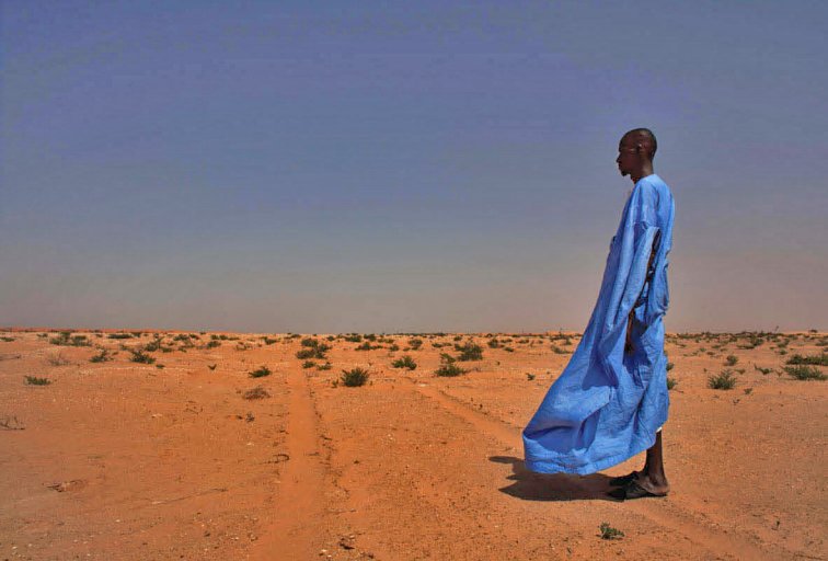 WBGPubs's tweet photo. Opportunities to reduce vulnerability to drought in #Africa are within reach: https://t.co/hVwqlxyOyb    #drylands https://t.co/idHYLVuv2P