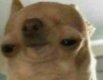 when u been offline for so long u forgot to log in but then u forget to log in and then u try to remember but u forget again and now ur here