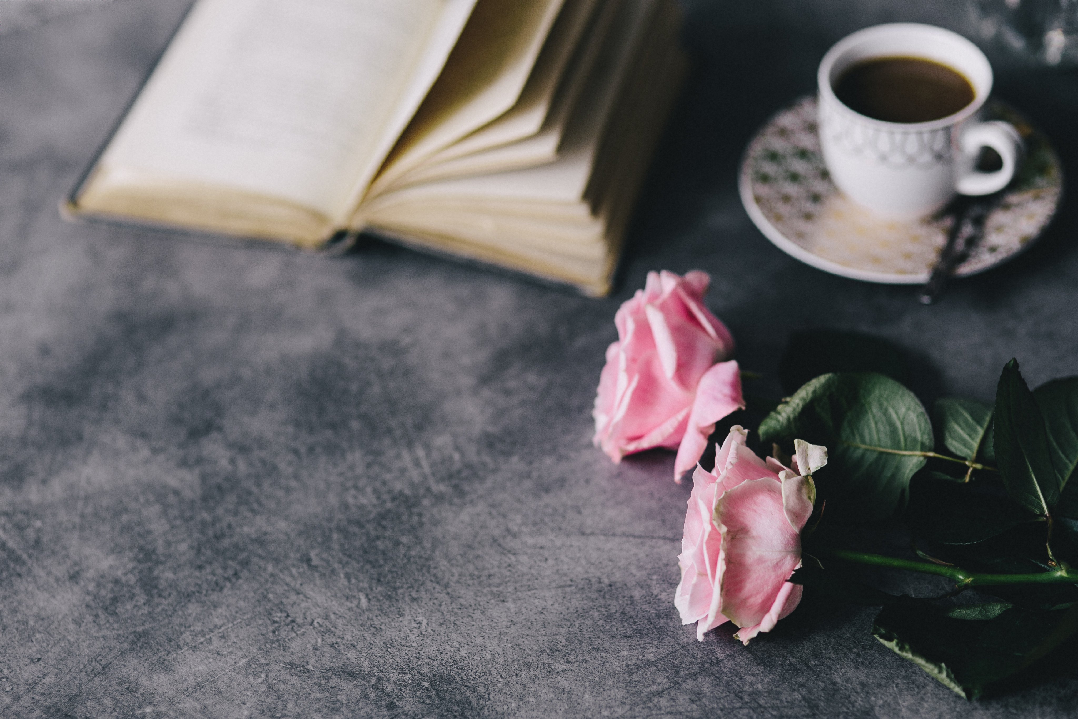 Книга кофе роза