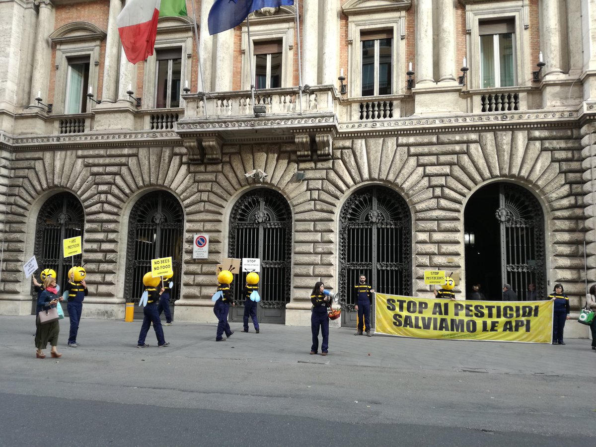SaraBuccini's tweet photo. Manifestazione pochi ma buoni #nopesticidi #apioperaie https://t.co/cHdMjdMxL4