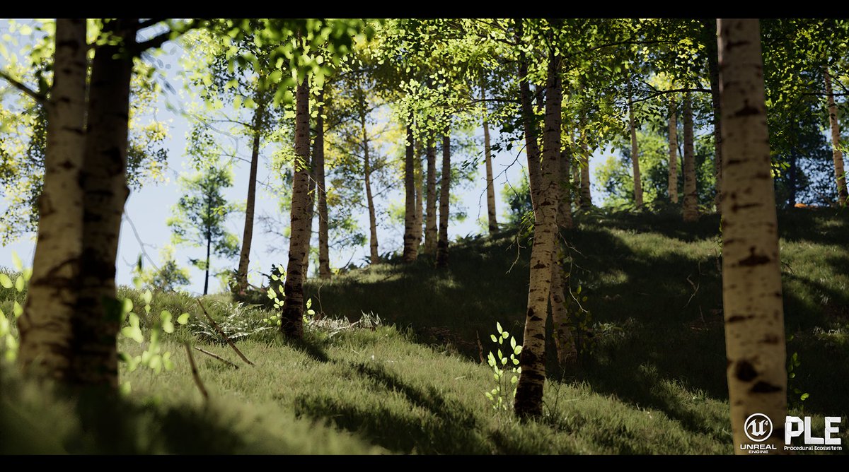 _gkaradayi's tweet photo. PLE Update #4 @EpicGames @UnrealEngine

# Procedural Ecosystem 
# Real-Time Lighting / GI
  #indiedev  #UE4  #indiegame #gamedev https://t.co/jHYeu4Vt8O