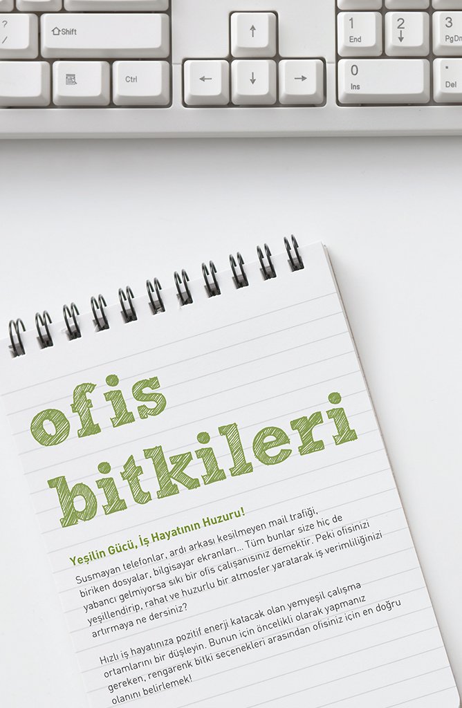 cembotanik's tweet photo. Ofis Bitkileri.Yeşilin Gücü. Huzurlu ofisler. #ofis #bitkileri #perşembe #peyzaj #bahçe #yeşil #landscape #garden #aplusgarden https://t.co/tFwdij6jNt