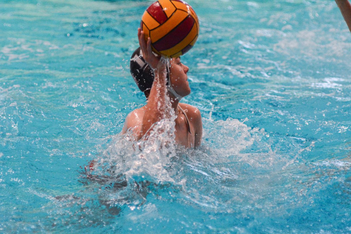 Trenton Almgren-Davis tweet media