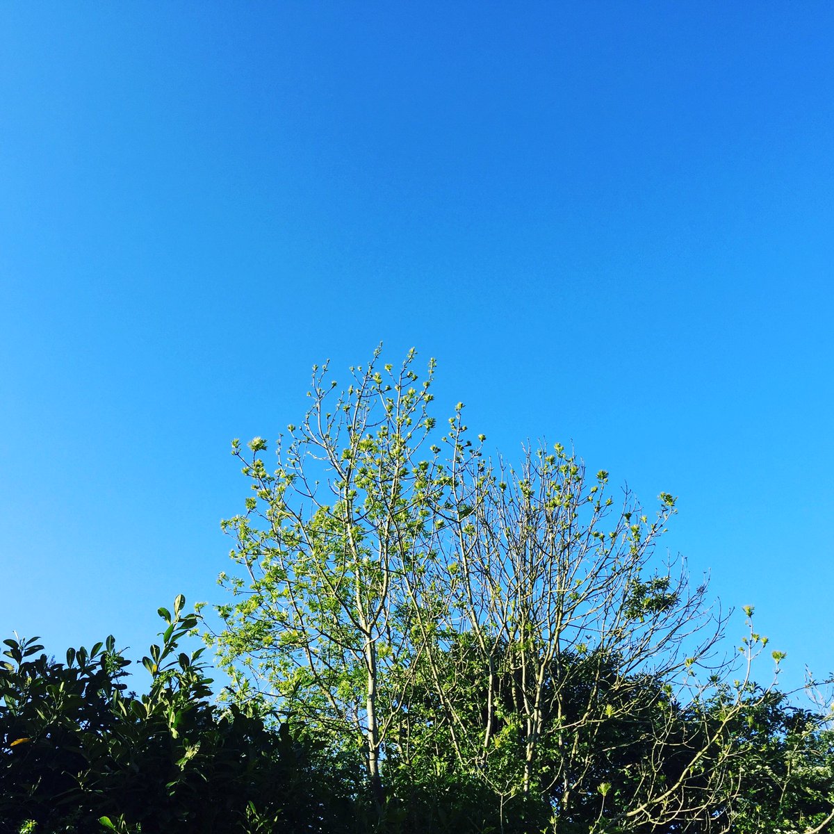 TriandRunMgar's tweet photo. Another beautiful day..get out &amp; discover the Royal Canal Greenway&amp; the Old Rail Trail with https://t.co/XEfbvGcVAb #bikehire #electricbikes https://t.co/XWLg2QtNT9