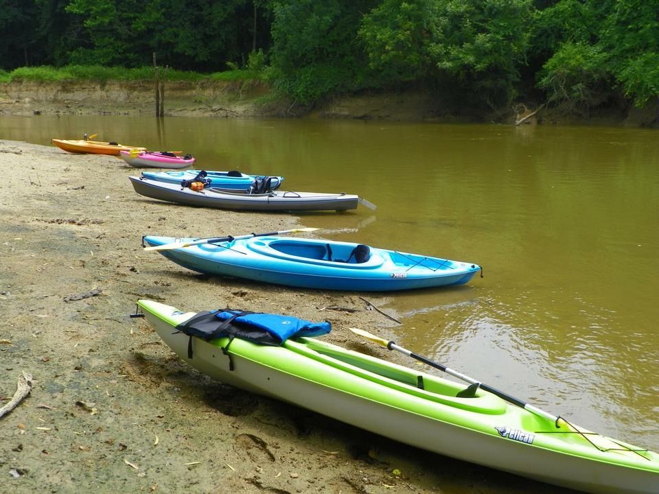 k8_leahy's tweet photo. Off to @CrystalCoast_NC for @NCBAorg #environment #energy + #naturalresources #MCLE. @JoCoTourism @howellwoods #neuseriver #mountainstosea https://t.co/8Ef9Wp3zb7