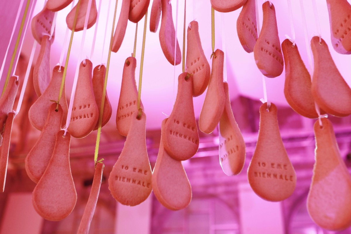 Miit_Studio's tweet photo. Notre installation de biscuits cuillères suspendus, parfaite pour tout type d’inauguration.
#couperleruban #foodevent

Photos by F. Caterin https://t.co/9DBF7B5T8S