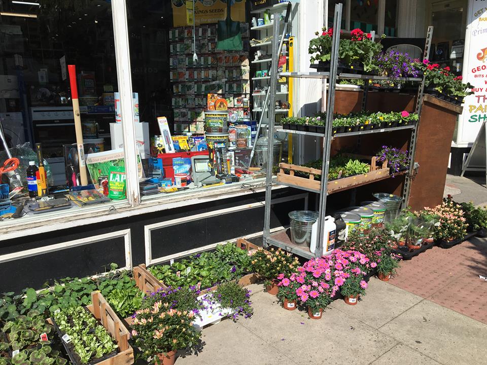Bekselectrical2's tweet photo. The sun is out &amp; what a beautiful start to the day it is. It's time to get cracking in the garden. All packs of bedding plants £1.99 https://t.co/0wqrZx6YvU