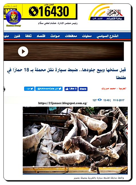 ضبط سيارة نقل محملة بـ 18 حمارًا في طنطا قبل سلخها وبيع جلودها