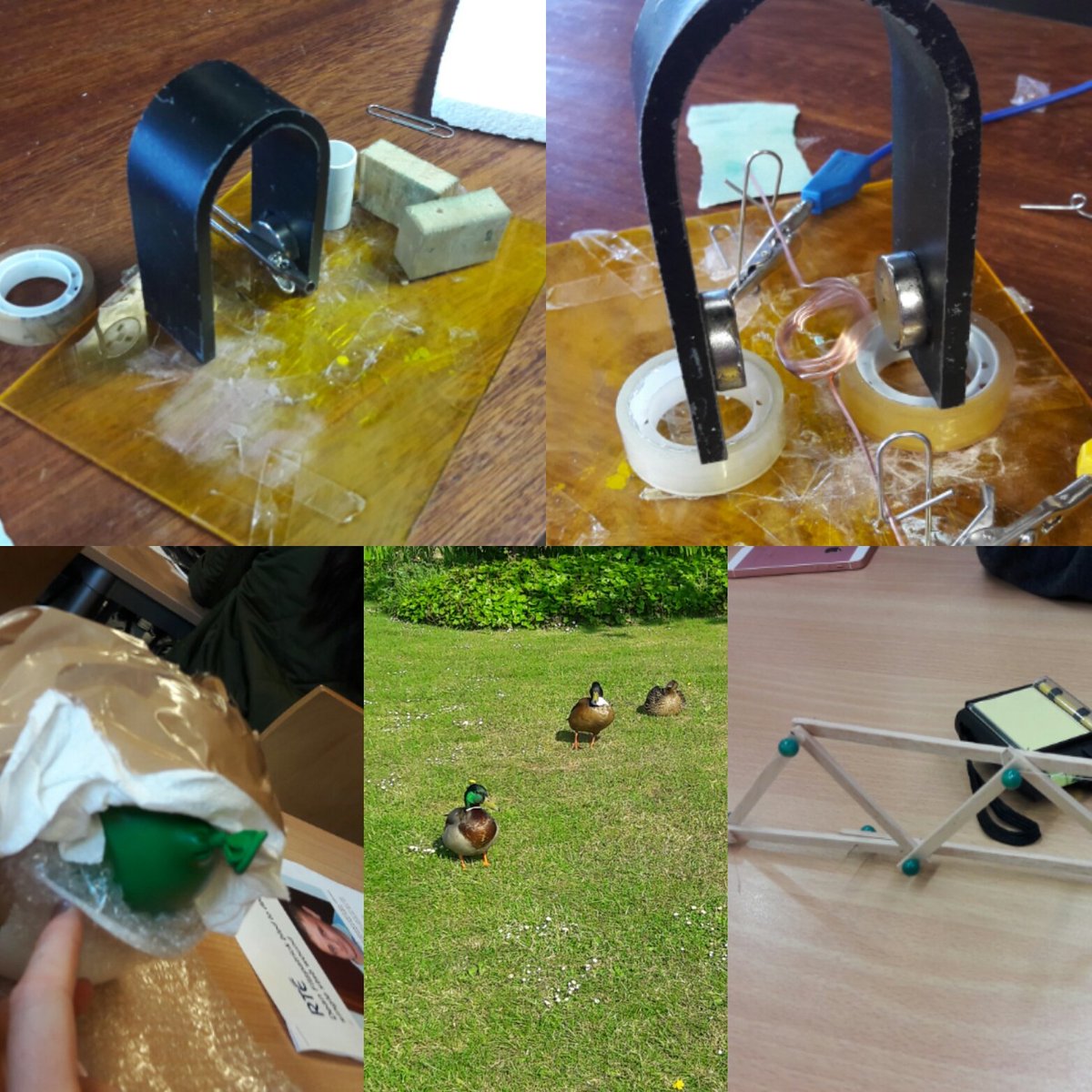 NiamhBreslin6's tweet photo. A before and after, a balloon that died, a bridge that fell and ducks in between. 
#engucd #greatweek https://t.co/IOSx3Ub4iD