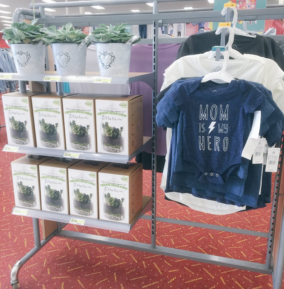 Give a gift trendier than a crockpot #succulents #MothersDay #t2200 @AndrewE_TGT @Jake4Target <a href="/MelissaKohler4/">Melissa Kohler</a>
