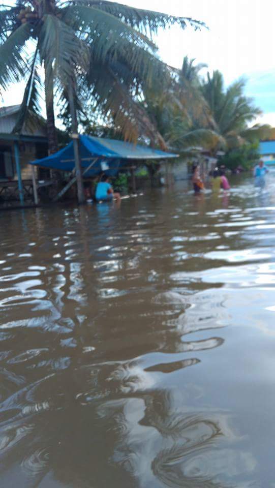 Asli ini banjir di daerah hulu kukar kaltim. <a href="/infokaltim/">Info Kaltim</a> <a href="/KukarNews/">KutaiKartanegara.com</a> <a href="/KemenDesa/">Fast Track Travel</a> <a href="/EkoSandjojo/">Eko P. Sandjojo</a> <a href="/tppindonesia/">Pertepedesia</a> <a href="/ritawow_1973/">Rita Widyasari</a> #saveHuluKukar
