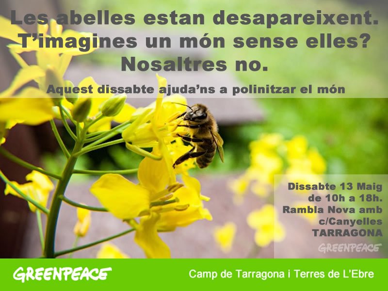 xpaba's tweet image. És impossible imaginar un món 🌍 
sense flors 🌺🌻🌼🌸
ni abelles 🐝🐝🐝🐝
Vine a polinitzar dissabte a #Tarragona
#SOSabejas
greenpeace.org/espana/es/Blog…