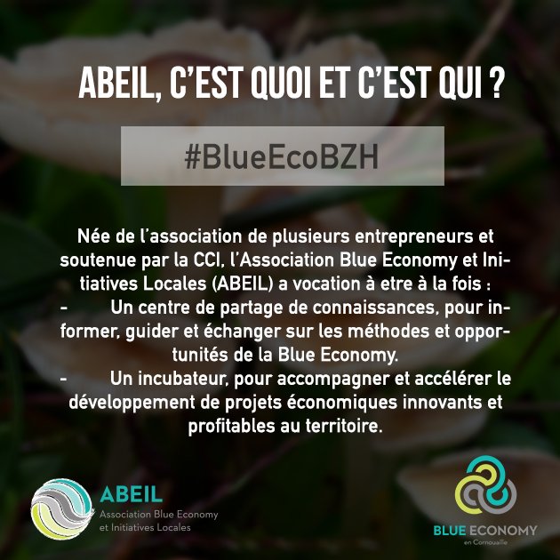 BlueEcoBZH's tweet photo. Posez nous vos questions, on y répond ! #BlueEconomy #ABEIL https://t.co/23dMTCQE3t