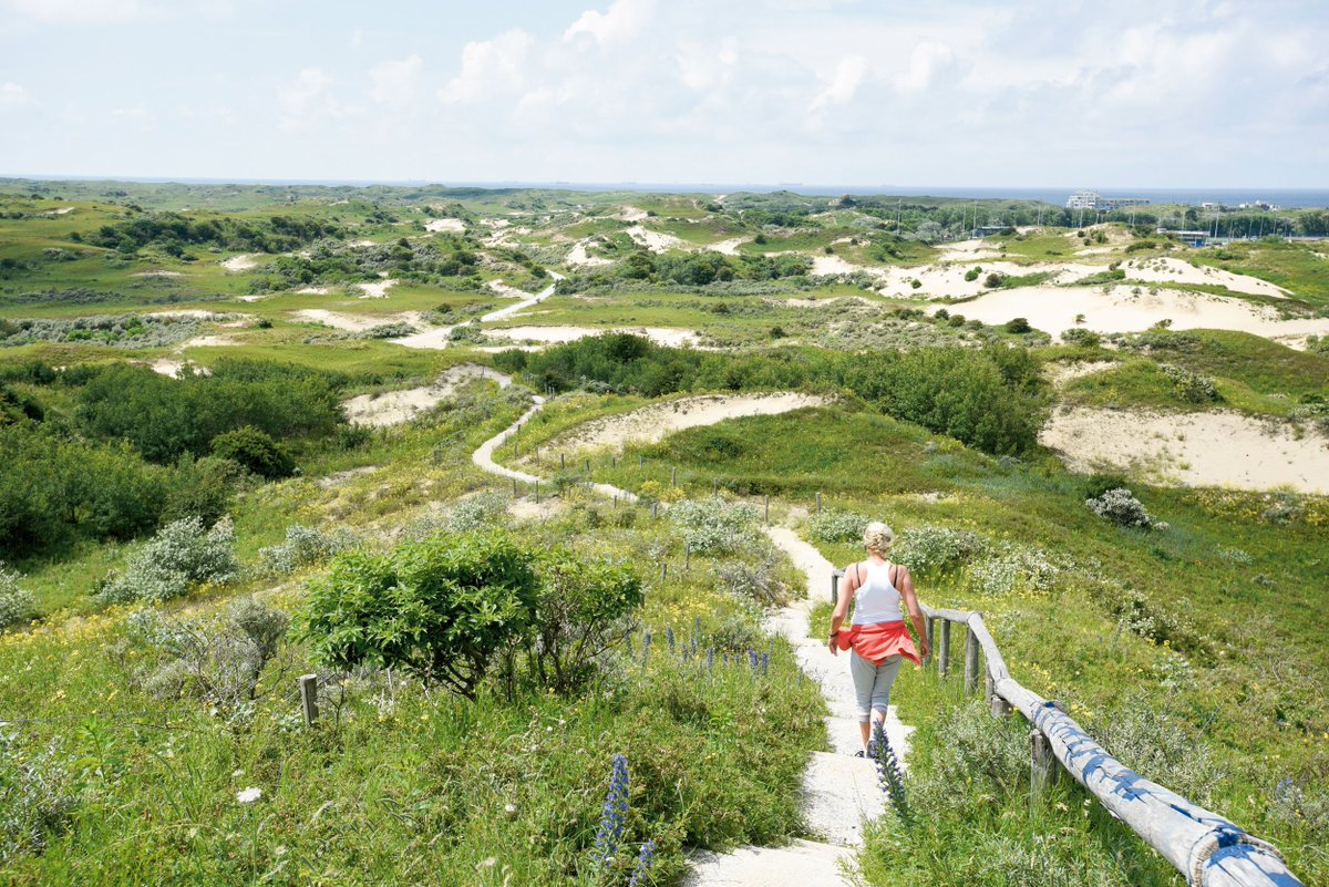 Toeractief tweet media