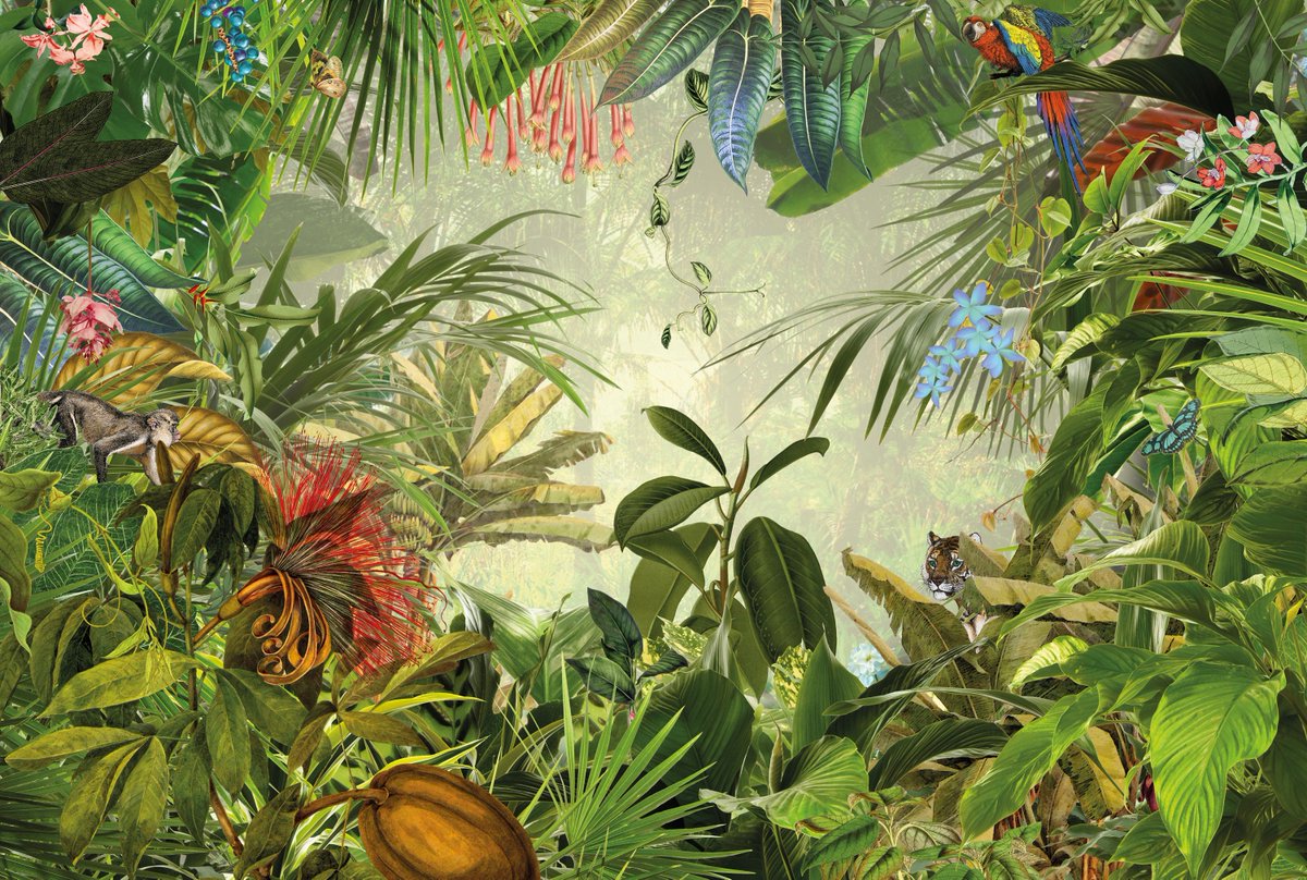 Wallpaper_Inn's tweet photo. Take a step "Into the Wild" with this fantastic wall mural - https://t.co/2lbtT2XAGJ https://t.co/BO289Sl8Gm
