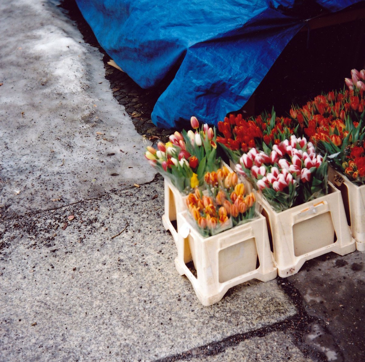 cschaeferhoff's tweet image. Spring in #Berlin via @slowberlin and their Readers’ Gallery buff.ly/2qNOPQw #photos #streetview #travel #spring