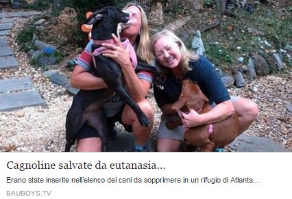 Un volontario aveva scattato una foto che le ritraeva mentre si abbracciavano terrorizzate e...
bauboys.tv/cagnoline-salv…