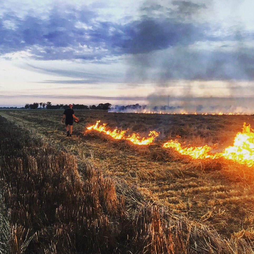 BCG_Birchip's tweet photo. Up she goes, a good night for a bit of #Wimmera #windrowburning. #burnbabyburn https://t.co/qhGGxs24lp