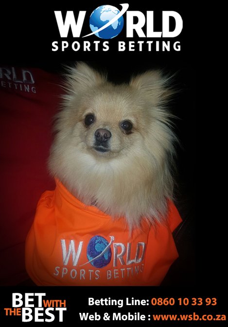 WorldSportsBet's tweet photo. We LOVE seeing your furry friends in WSB kit! Send us your pet in WSB branding and we'll post it! #WSBPets #HelloKiki https://t.co/C4UGTwYBGA