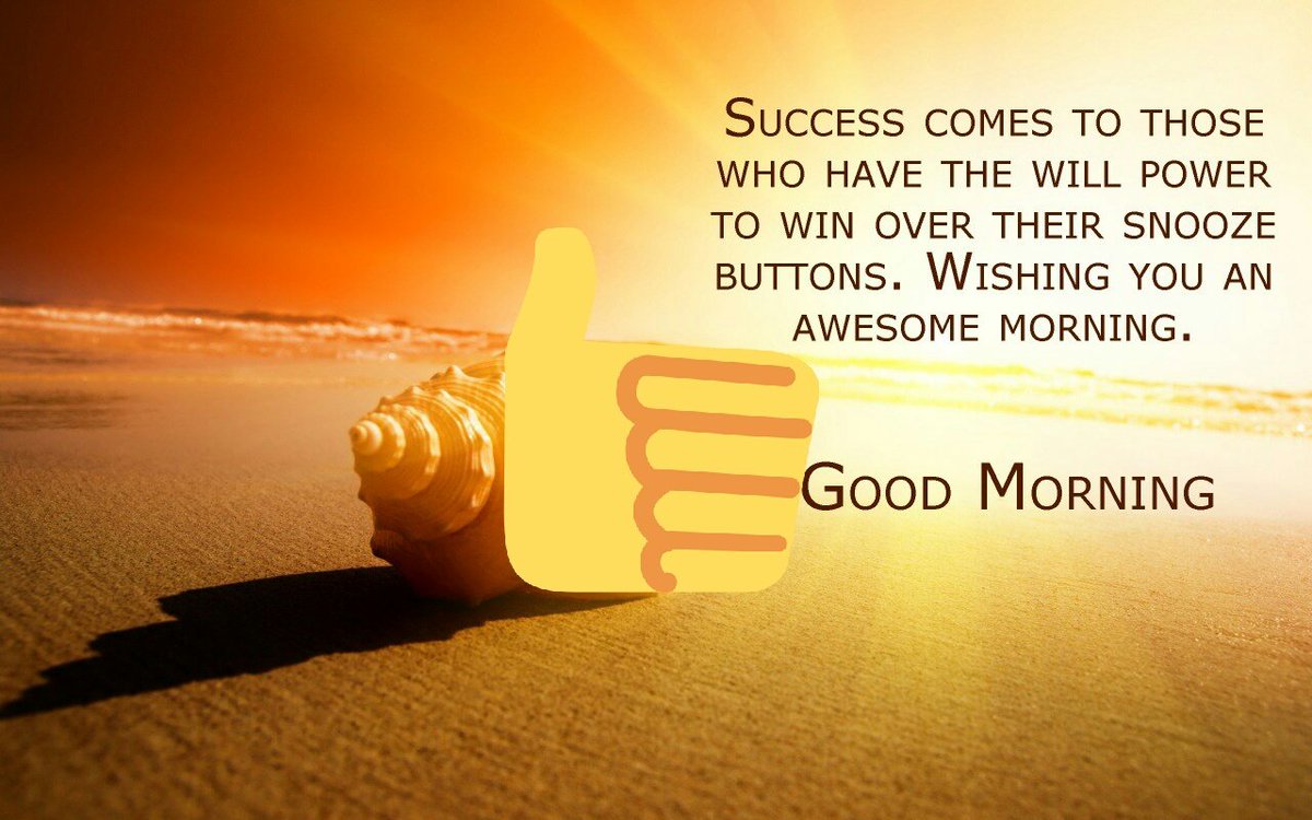 olisepa's tweet photo. https://t.co/EZZhf2jeYA
