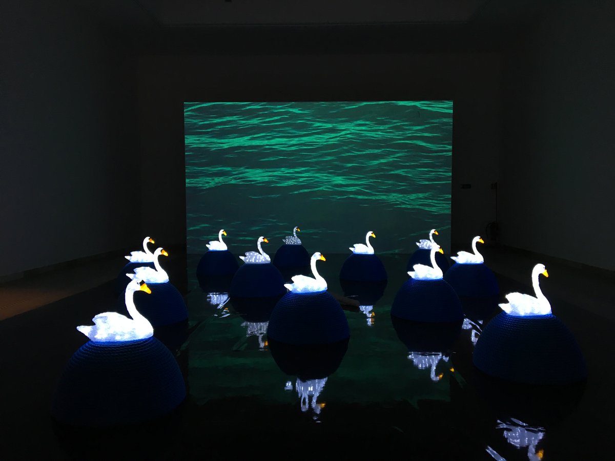la_Biennale's tweet photo. Czech Republic and Slovak Republic Pavilion is opening now at Giardini #BiennaleArte2017 with “Swan Song Now”. https://t.co/5FaeDDjZLF