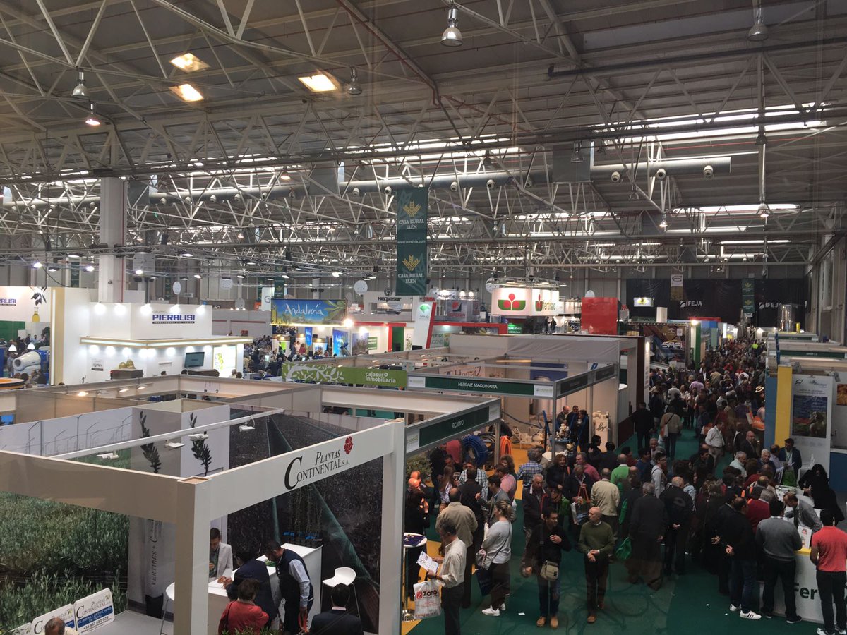 Diputación de Jaén (@dipujaen) on Twitter photo #Expoliva2017 presenta este aspecto en su segunda jornada. Masiva afluencia de visitantes en <a href="/FERIASJAEN/">IFEJA FERIAS JAEN</a> #AOVE #Expoliva2017 presenta este aspecto en su segunda jornada. Masiva afluencia de visitantes en <a href="/FERIASJAEN/">IFEJA FERIAS JAEN</a> #AOVE