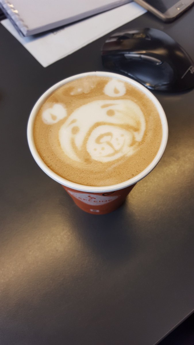 RimaMerk's tweet photo. Teddy bear from #caffeinelv https://t.co/RTsH8KOmDX
