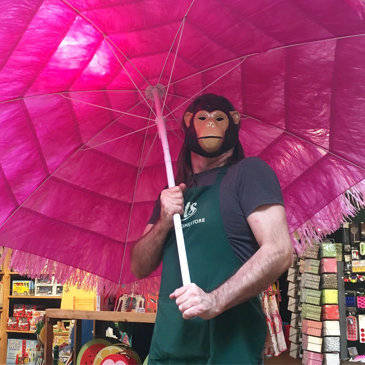 BertsHomestore's tweet photo. Ape-solutely fabulous summer parasols available at our North Laine store, Brighton #SummerIsHere #goapeforumbrellas #sunshine https://t.co/TaSdVtv3DI