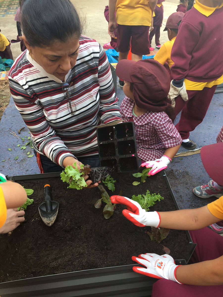 GuildfordPublic's tweet photo. Guildford PS infants gardening club hit the new garden beds @ABCSplash @nswteachers @Parramatta_News @parramattasun https://t.co/gkKYZ3kUoR