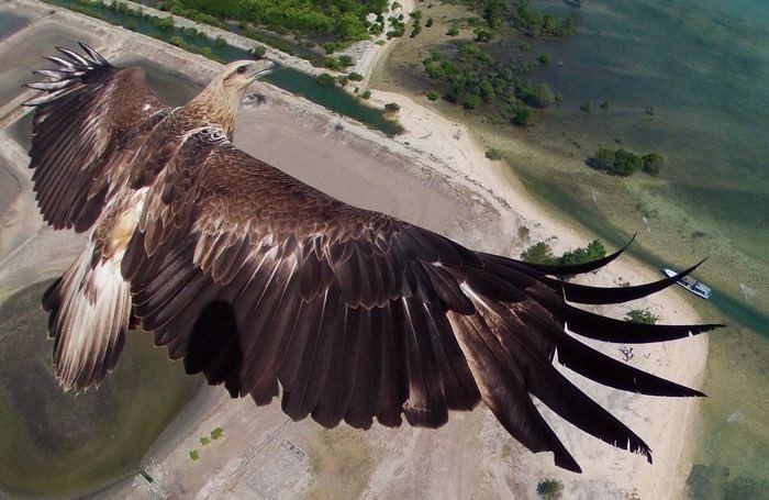 gizlibilimler's tweet photo. @tuhaafamagercek Drone fotoğrafçılığı; https://t.co/fXIlNOhjJi