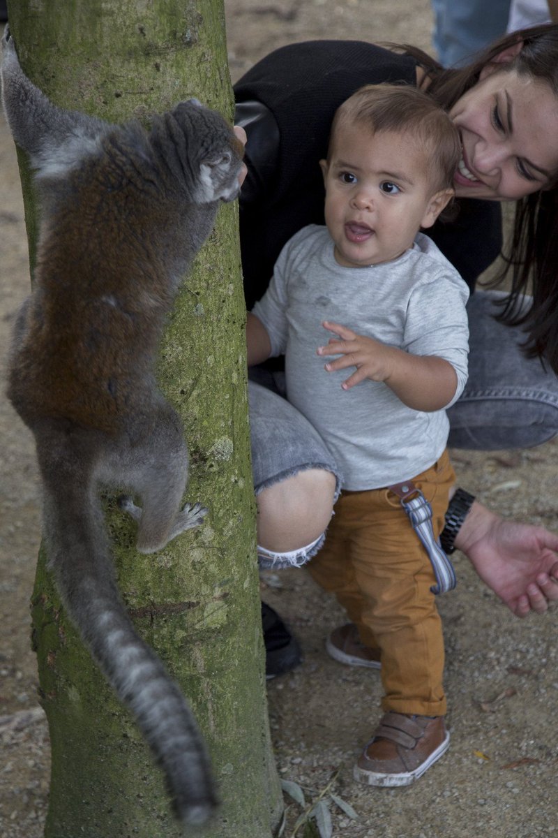 ZooParcOverloon tweet media