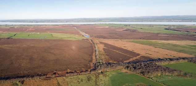 SolwayWetlands's tweet photo. Fantastic project on Solway Junction Railway &amp; Viaduct &amp; Bowness Common Restoration, supported by @SolwayWetlands https://t.co/bUZjDdY2fT https://t.co/SJ4xOref0p