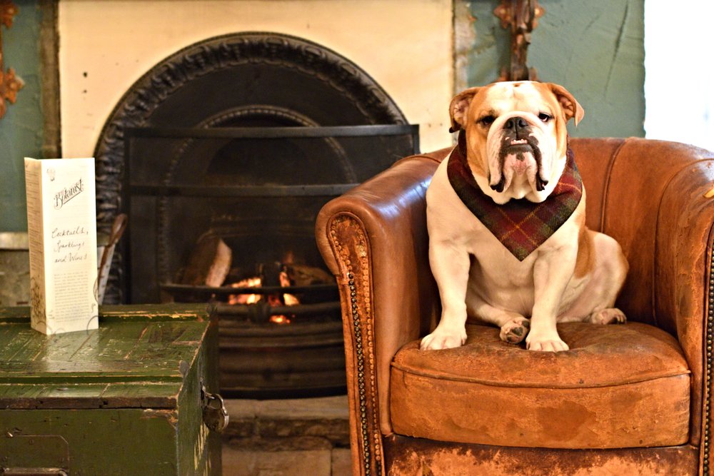TᕼE GOOᗪ ᐯET & ᑭET GᑌIᗪE 🐾 Pet Directory (@goodvetpetguide) on Twitter photo .<a href="/BibAndTuckUK/">bib & tucker ®</a> neckerchief in luxury Harris Tweed, mulberry check
#dogs Made in the UK bit.ly/1NcR3rO .<a href="/BibAndTuckUK/">bib & tucker ®</a> neckerchief in luxury Harris Tweed, mulberry check
#dogs Made in the UK bit.ly/1NcR3rO