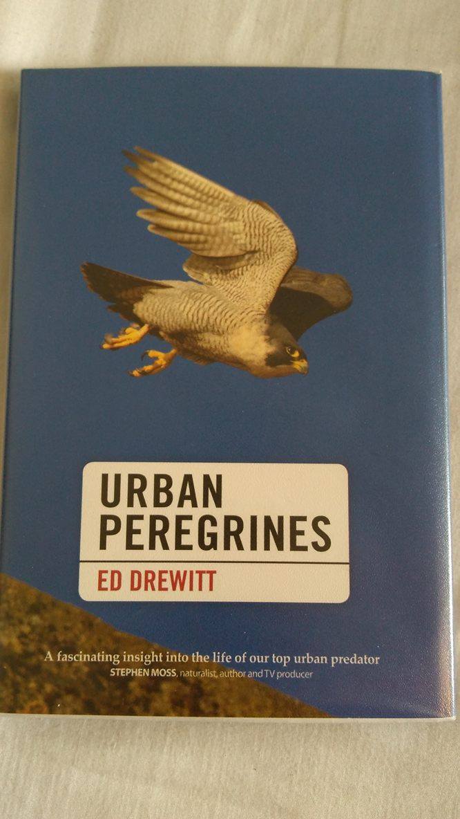 Finally got my hands on your book <a href="/eddrewitt/">Ed Drewitt</a>! Very excited to read it. I have been watching peregrines for a little while, they are amazing!
