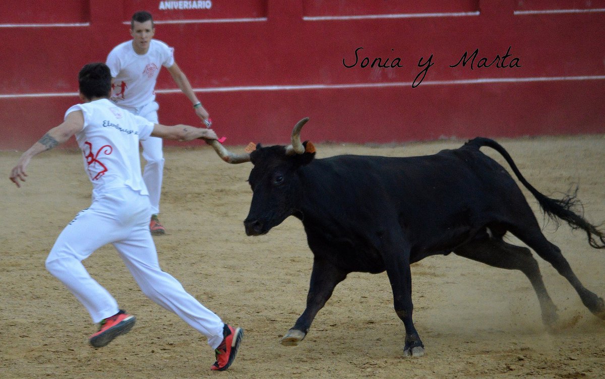 Compenetración de hermanos.
#LIGADELASANILLAS