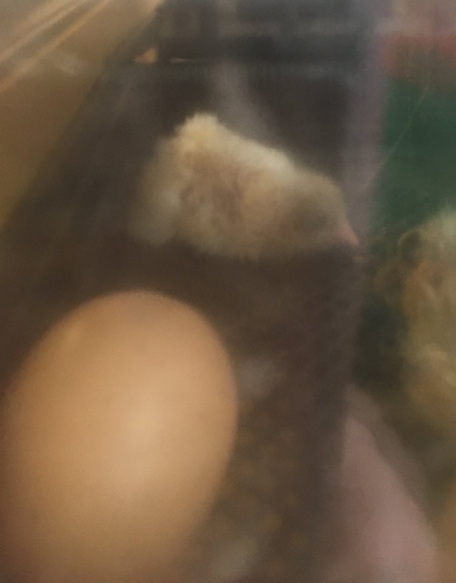 Treverbyn Academy & Nursery tweet media