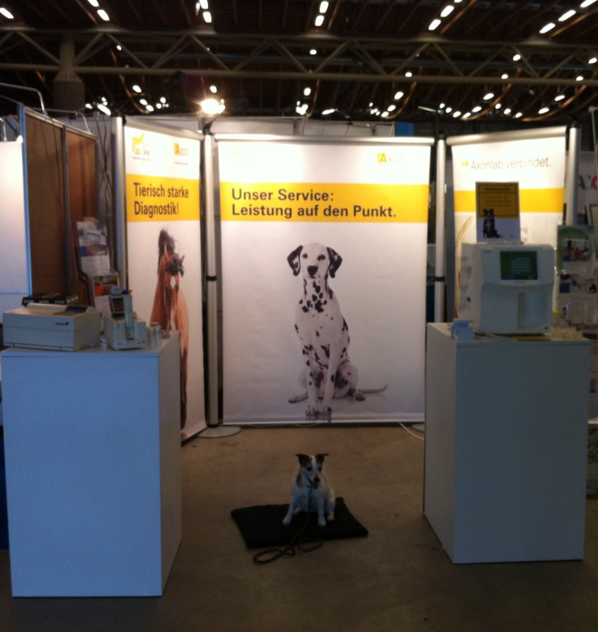 Axon Lab AG tweet media