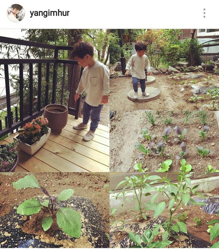 KoSeungJaeTH's tweet photo. 20170511 yangimhur's ig update https://t.co/ojNmMpT559