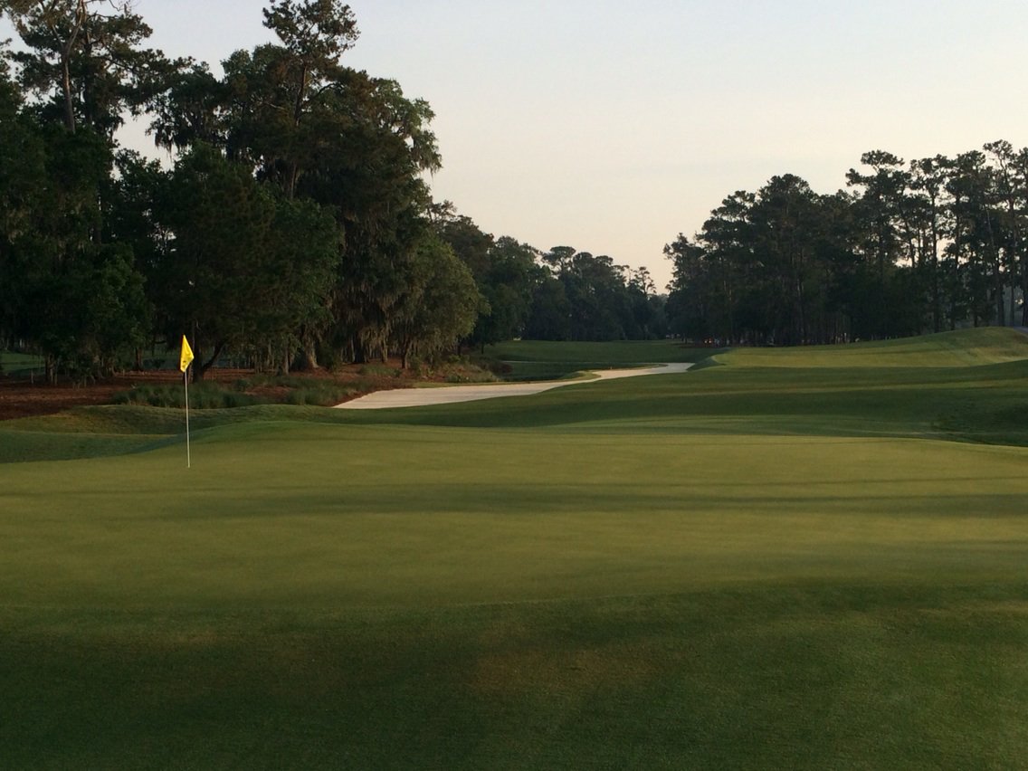 randymyersgolf's tweet photo. Great view of the par five second hole green - early groups are now out on the course @THEPLA YERSChamp #zerowind https://t.co/5FSBsorHQ4