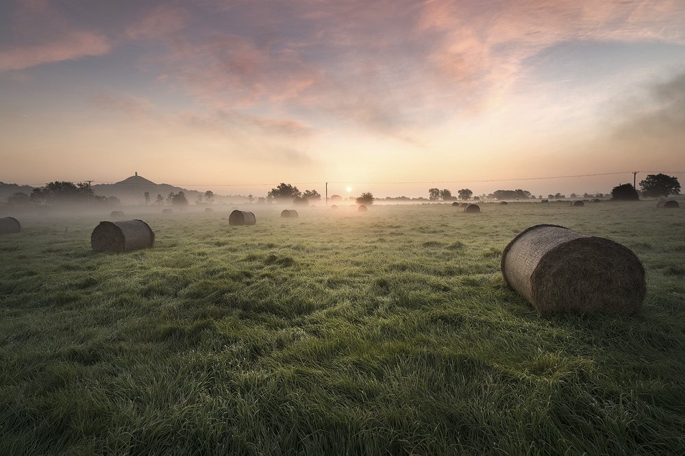 ArtSomerset's tweet photo. Happy #SomersetDay #Somerset https://t.co/dHYkrOrnZQ