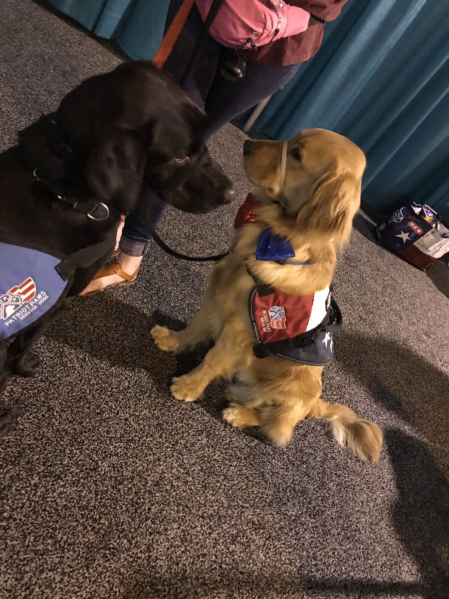 mandyfsmith's tweet image. You have to visit the pups!#GulfCoastSymposium