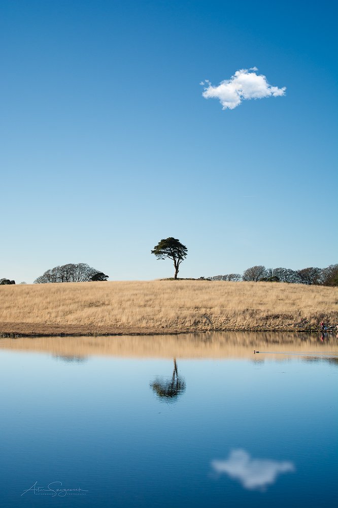 Happy #SomersetDay #Somerset
