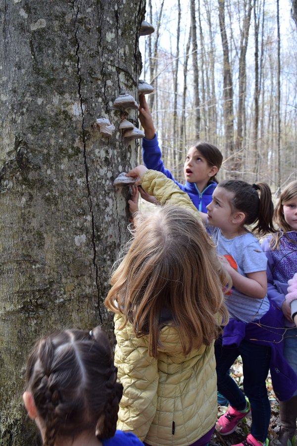 Students use sight, touch, and smell to check out some neat fungi while on a field trip at the McCune Nature Preserve today!