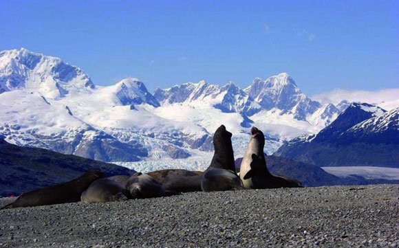 iagewhere2go's tweet image. Conoce la zona austral y sur de Chile junto a nuestra agencia Where2Go! (:
Facebook: facebook.com/iagewhere2go/