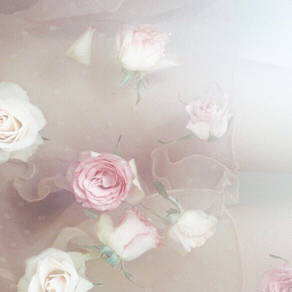 ChooseOne___'s tweet image. She is beautiful inside and out 🌸