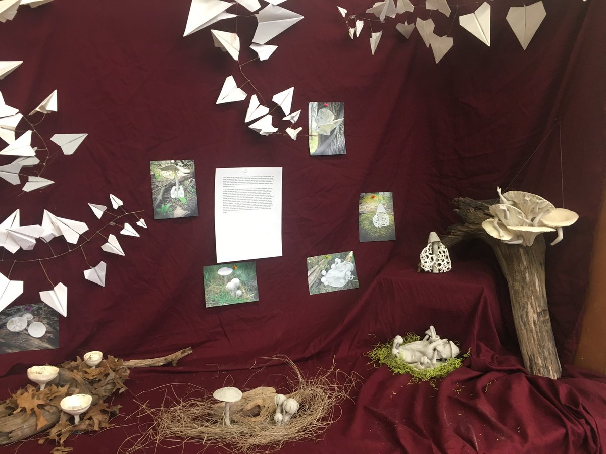 sweethomeaclc's tweet image. A few displays from yesterday&apos;s Senior Art Show, great contributions by all!