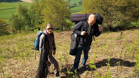 perfect #weather for #filming  the rare pearl bordered #fritillary #butterflies #MWT  #wales #environment #wildlife #filmmaking