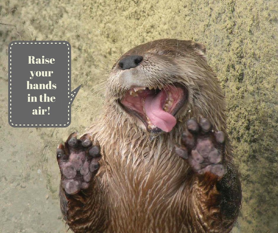 You otter get your HVAC unit fixed ASAP! You'll be happy you did. bit.ly/2iOb3tA